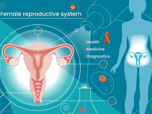 Diagram of the female reproductive system with health and medicine icons on a blue background.