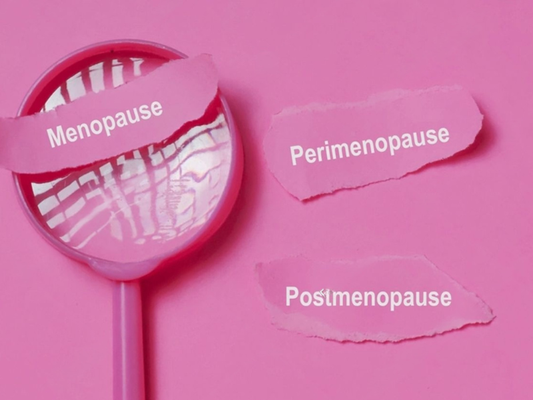 Magnifying glass highlighting Menopause phase with Perimenopause and Postmenopause